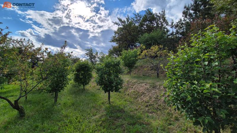 Prodazha Dachi, Dachi, Ratnovce, Piešťany, Slovakia